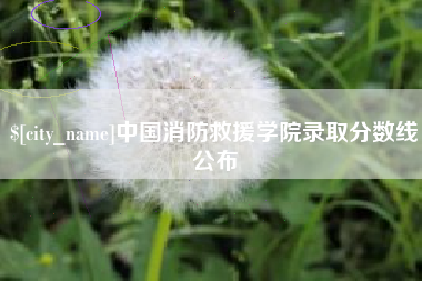 柳林中国消防救援学院录取分数线公布