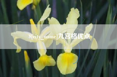 柳林九宫格优点