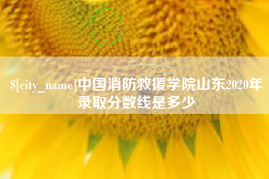 柳林中国消防救援学院山东2020年录取分数线是多少