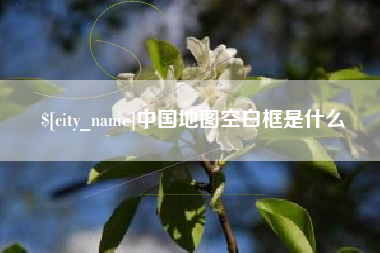 柳林中国地图空白框是什么