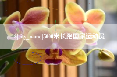 柳林5000米长跑国家运动员
