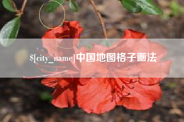 柳林中国地图格子画法