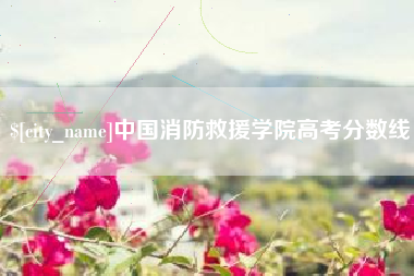 柳林中国消防救援学院高考分数线