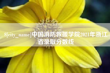 柳林中国消防救援学院2021年浙江省录取分数线