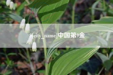 柳林中国第9金