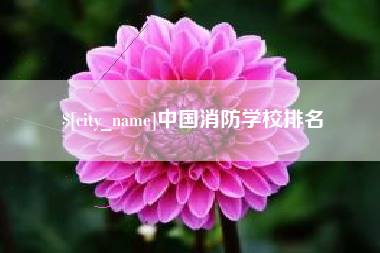 柳林中国消防学校排名