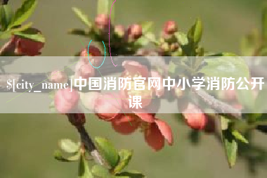 柳林中国消防官网中小学消防公开课