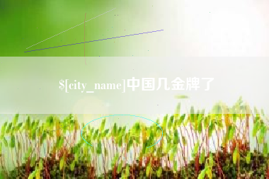 柳林中国几金牌了