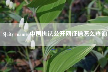 柳林中国执法公开网征信怎么查询