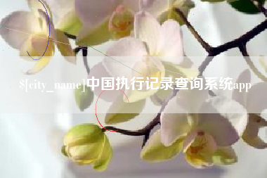 柳林中国执行记录查询系统app
