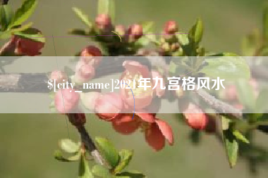 柳林2021年九宫格风水