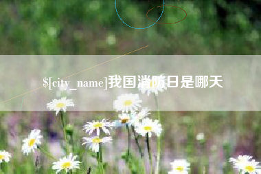柳林我国消防日是哪天