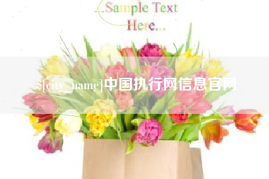 柳林中国执行网信息官网