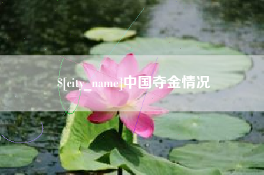 柳林中国夺金情况