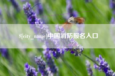 柳林中国消防报名入口