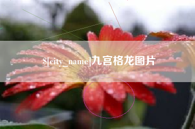 柳林九宫格龙图片