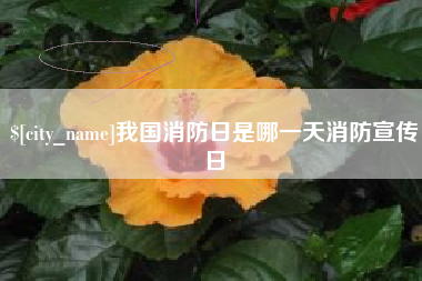 柳林我国消防日是哪一天消防宣传日