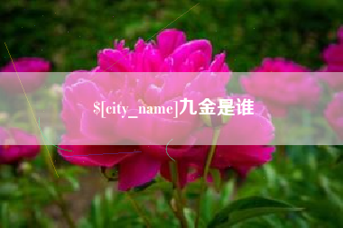 柳林九金是谁