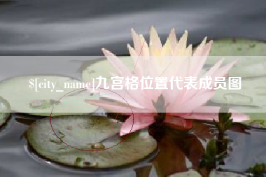 柳林九宫格位置代表成员图