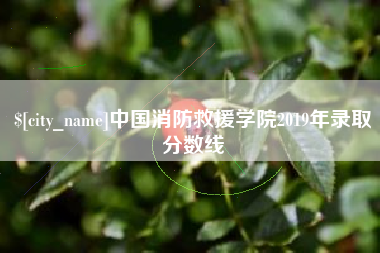 柳林中国消防救援学院2019年录取分数线
