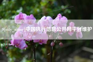 柳林中国执行信息公开网平台维护