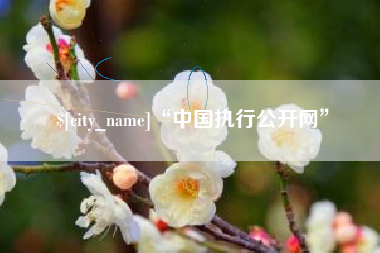 柳林“中国执行公开网”