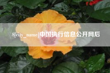 柳林中国执行信息公开网后