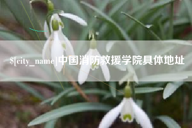 柳林中国消防救援学院具体地址