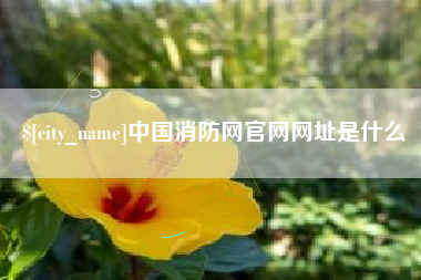 柳林中国消防网官网网址是什么