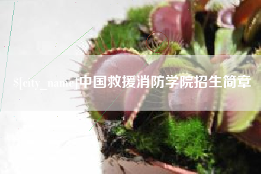 柳林中国救援消防学院招生简章