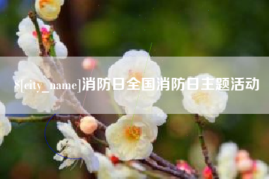 柳林消防日全国消防日主题活动