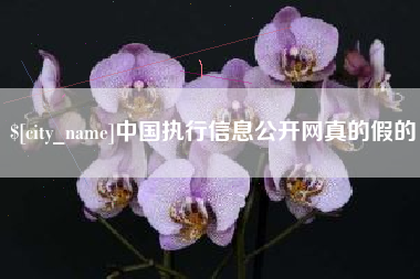 柳林中国执行信息公开网真的假的