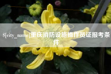 柳林重庆消防设施操作员证报考条件