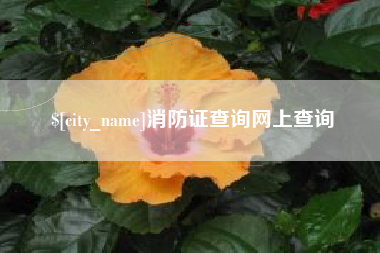 柳林消防证查询网上查询