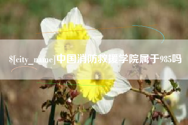 柳林中国消防救援学院属于985吗