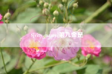 柳林第九金是