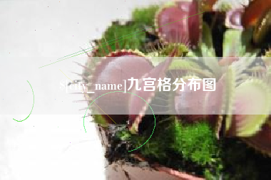 柳林九宫格分布图