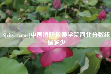柳林中国消防救援学院河北分数线是多少