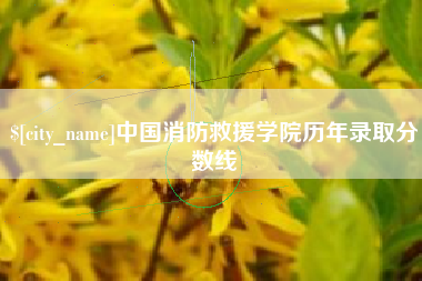 柳林中国消防救援学院历年录取分数线
