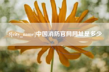柳林中国消防官网网址是多少