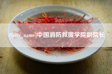 柳林中国消防救援学院副院长
