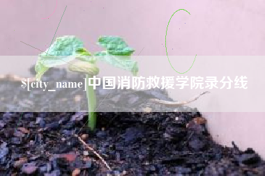 柳林中国消防救援学院录分线