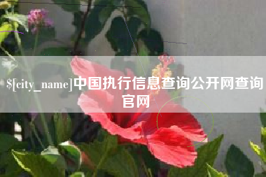 柳林中国执行信息查询公开网查询官网