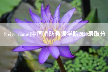 柳林中国消防救援学院2020录取分
