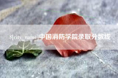 柳林中国消防学院录取分数线
