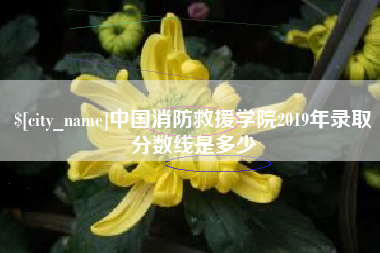 柳林中国消防救援学院2019年录取分数线是多少