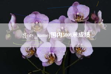 柳林国内5000米成绩