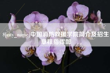 柳林中国消防救援学院简介及招生章程指挥部