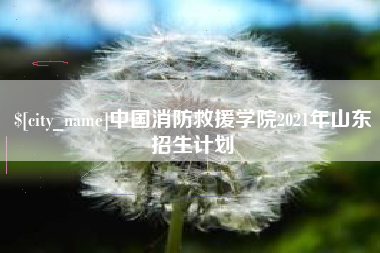 柳林中国消防救援学院2021年山东招生计划