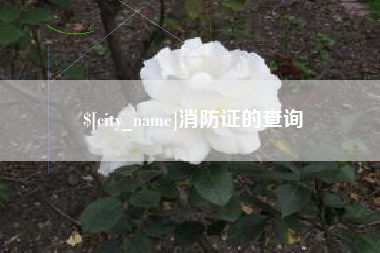 柳林消防证的查询